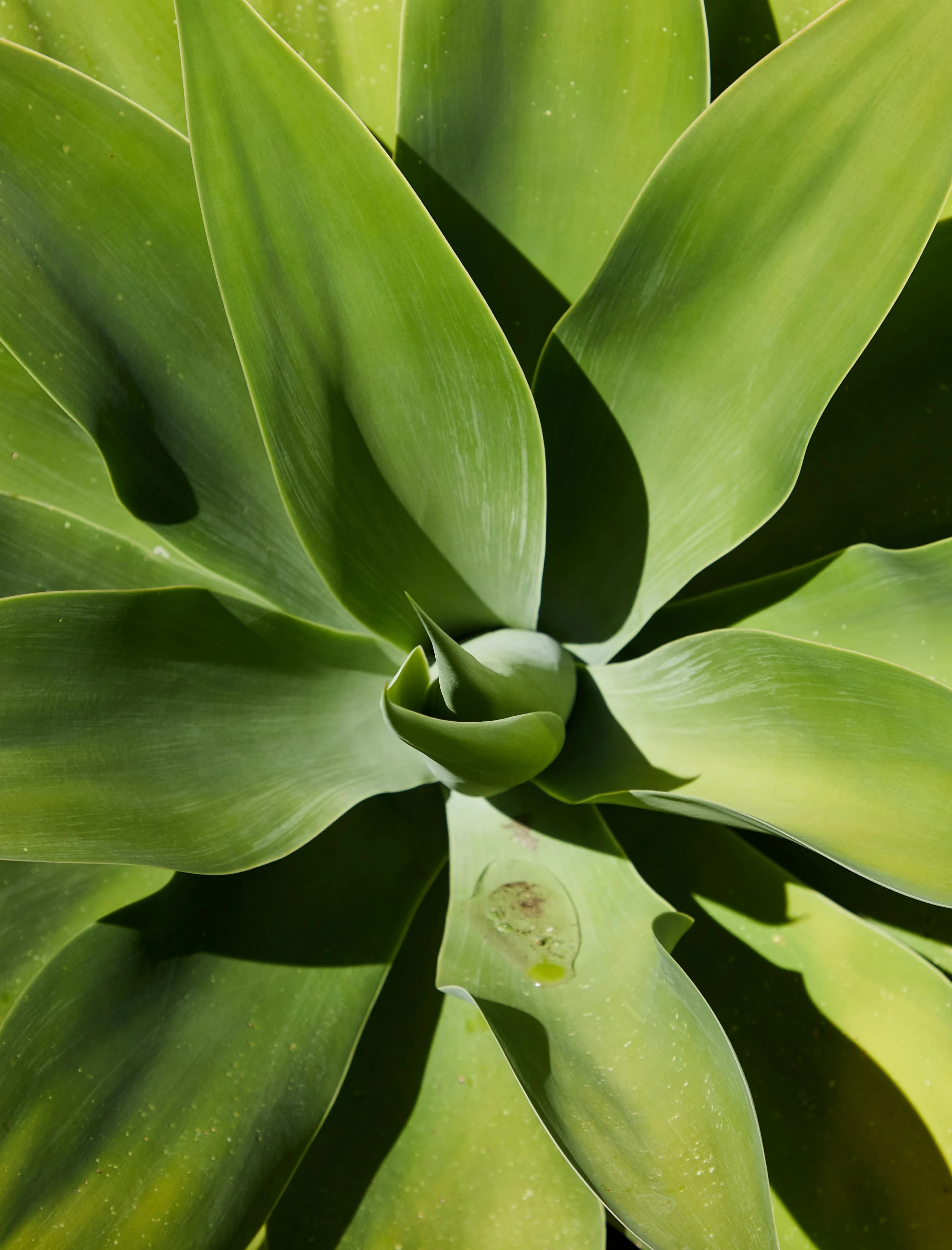 New approaches to sustainable chemical distribution